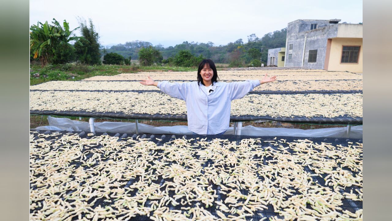 阿渔妹和村民晒制,500斤的菜果干,网友收到纷纷表示非常好吃