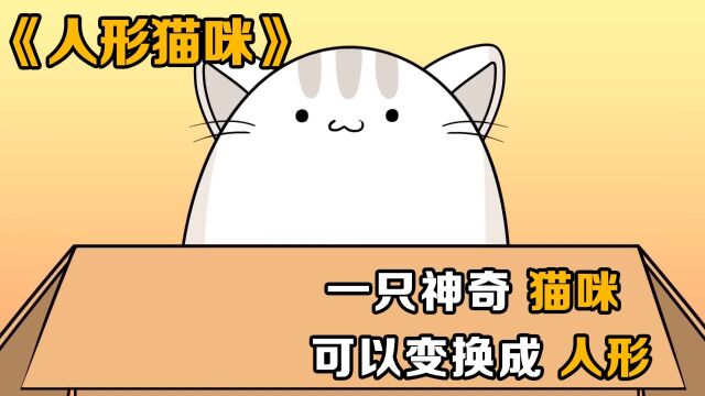 一只神奇的猫咪,可以变换成人形:《人形猫咪》