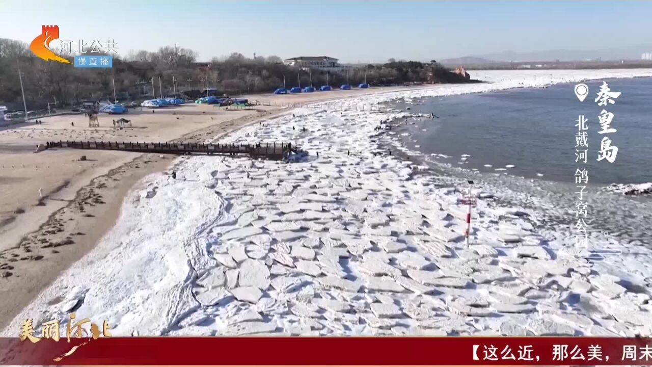 美丽河北 | 漫步北戴河鸽子窝公园 赏冰花绽海 玉带横岸