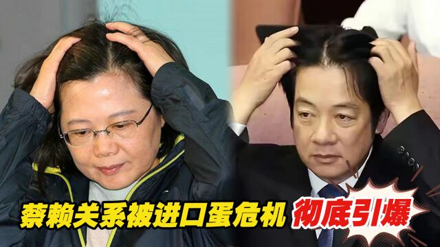 蔡赖关系脆弱且矛盾,被陈吉仲进口蛋危机彻底引爆