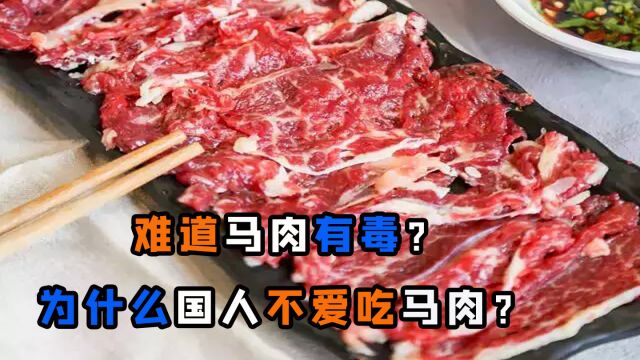 马肉能吃吗?每年有470万匹马被宰杀,为啥国内很少人吃马肉?