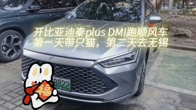 开比亚迪秦plusDMI跑顺风车第一天送只猫,第二天上海跑无锡