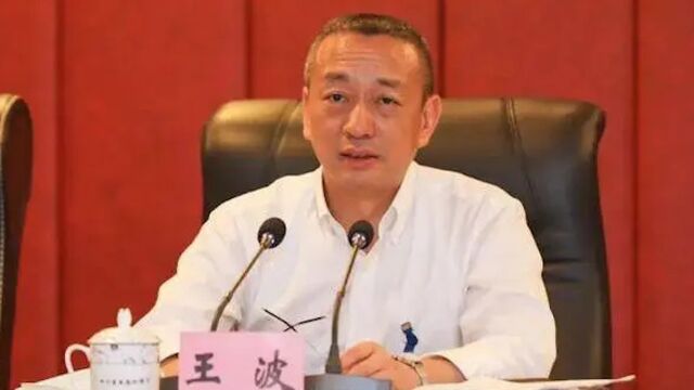 贪图享受!四川省生态环境厅原党组书记、厅长王波被“双开”