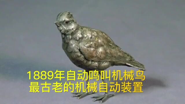 机械生物属于最古老的自动装置形式之一