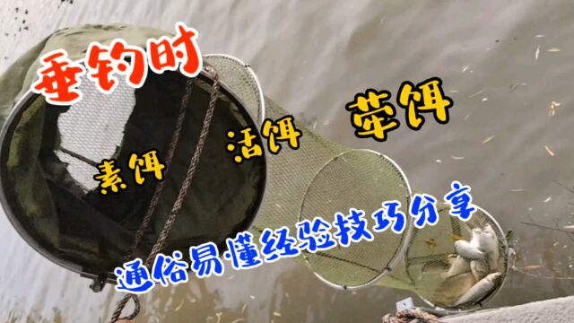 垂钓时,素饵、活饵、荦饵,通俗易懂经验技巧分享