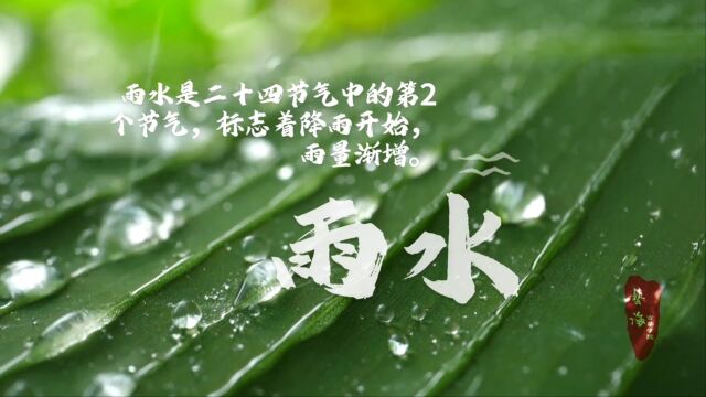 好雨知时节,当春乃发生.随风潜入夜,润物细如声.——杜甫 《雨碎江南》#艺海古筝#二十四节气#雨水