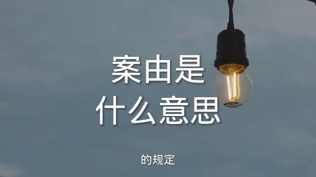 保定律师:案由是什么意思?保定民事律师