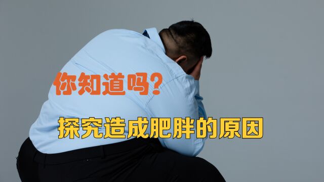 人为什么会变胖?探求造成肥胖的原因?