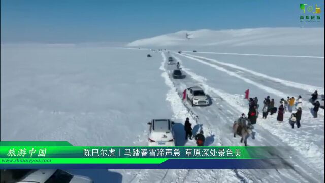 视频:陈巴尔虎|马踏春雪蹄声急 草原深处景色美