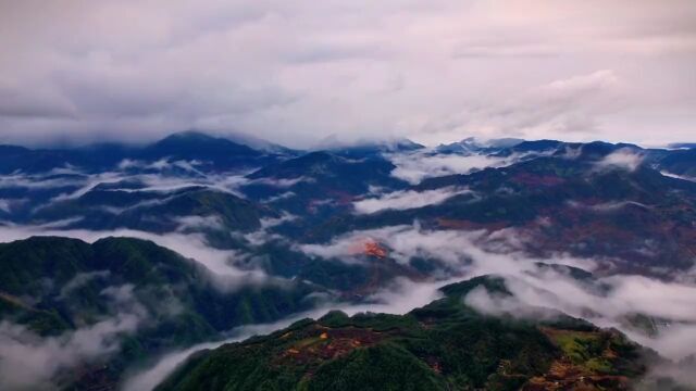 人间仙境:百山祖园区