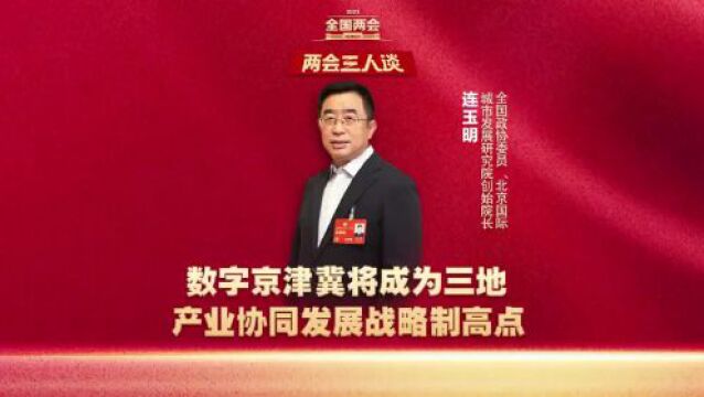 两会三人谈丨组建国家数据局将助推京津冀协同发展再上新台阶