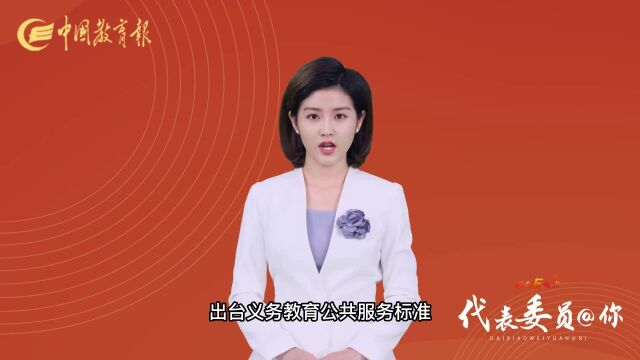 张志勇委员:出台义务教育公共服务标准