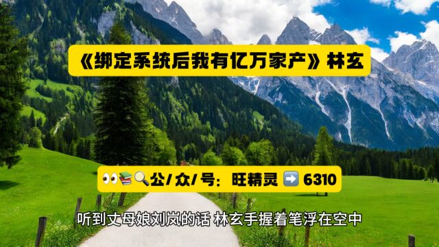 《绑定系统后我有亿万家产》林玄全文在线阅读◇无删减