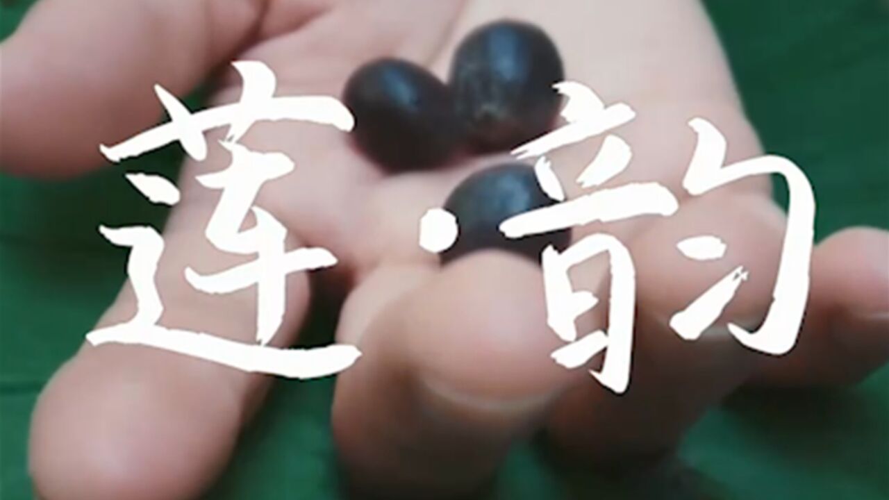 秦熙、朱瑾慧用曼妙舞姿诠释舞蹈《莲ⷩŸ𕣀‹,步步生花,尽显优雅