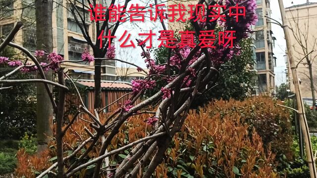 谁能告诉我现实中什么才是真爱呀