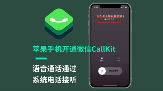 苹果手机开启微信Callkit最新方法,实现微信电话用系统电话接听!