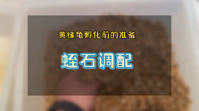 黄缘龟孵化前蛭石调配方法