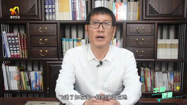 【牛城校园】感春咏春 绘春觅春