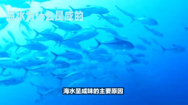 海水为什么是咸的?这个答案可能会让你重新认识这个世界!