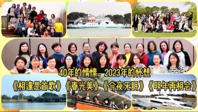 40年的情愫,2023年的怀想在张家港双山岛圆梦