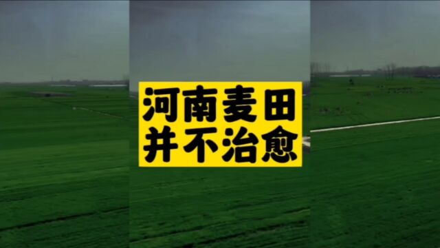 河南日报被河南网友网暴了,立刻删除了争议视频!