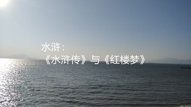 水浒:《水浒传》与《红楼梦》