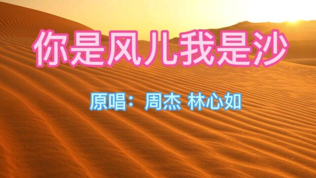 经典老歌100首之《你是风儿我是沙》