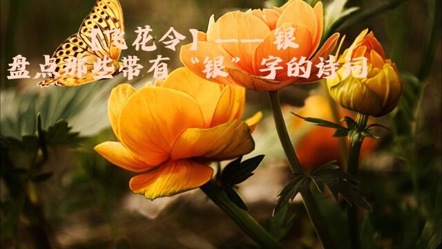 【飞花令】—— 银 盘点那些带有“银”字的诗词