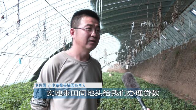 乌兰察布农商银行:金融活水“贷”动春耕备耕