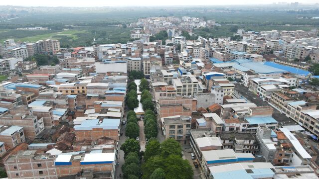 乡村行225广西壮族自治区南宁市武鸣区双桥镇