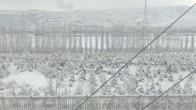 太极拳养生动起来,北朔山赏雪