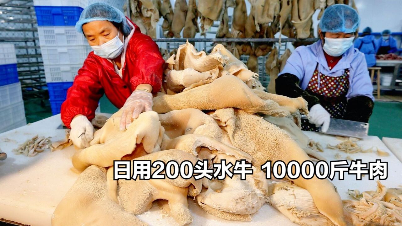 公安大哥卖牛三鲜,日用1万斤牛肉,1万斤牛肚,4000斤牛蹄筋