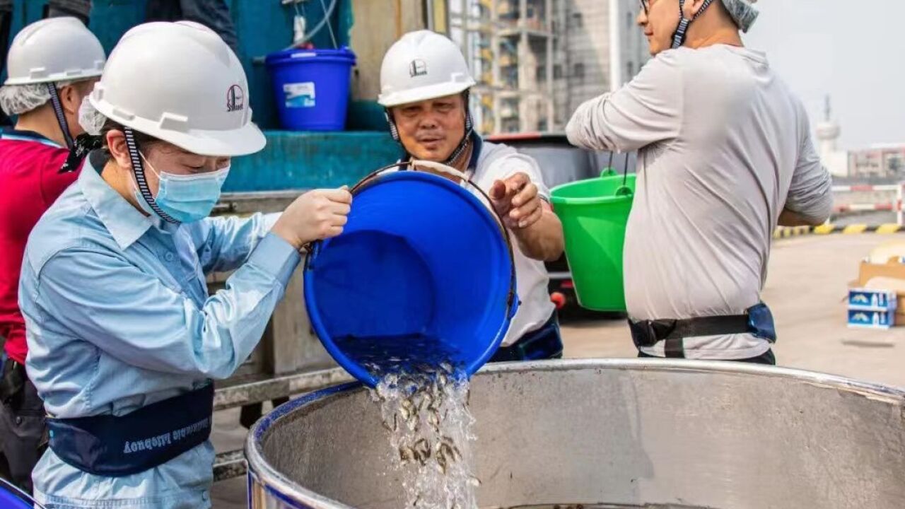 中科炼化:增殖放流500余万尾海洋生物,助力生态文明建设