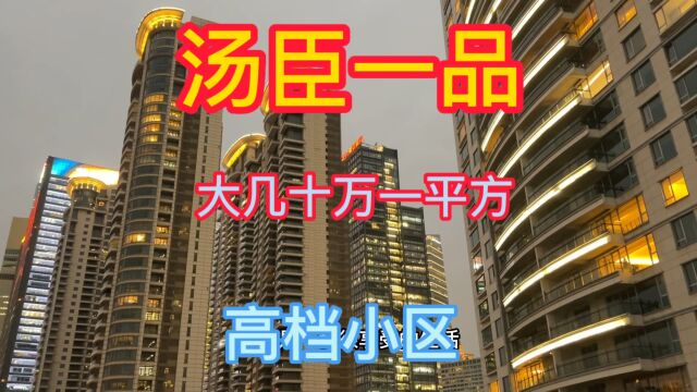 什么样的有钱人才可以住进20几万一平的高档小区上海汤臣一品