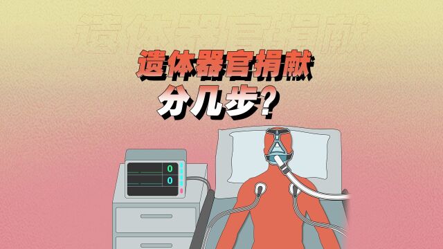 遗体器官捐献分几步?|100秒讲透