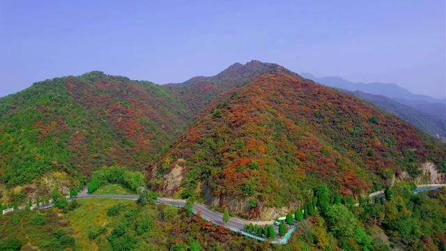 远赴人间惊鸿宴,一睹人间盛世颜 .王屋山红叶今日实景!#一起看风景 #赏红叶