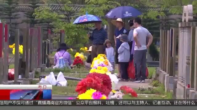 今日清明:祭扫传承家风 孝心善意代代传