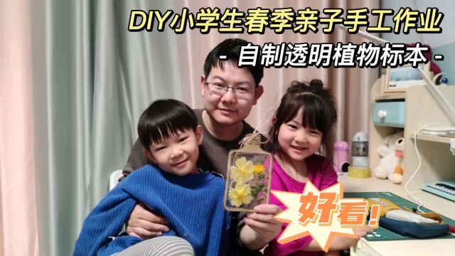 DIY亲子手工自制透明植物标本瓶子,春季小学生周末实践作业教程