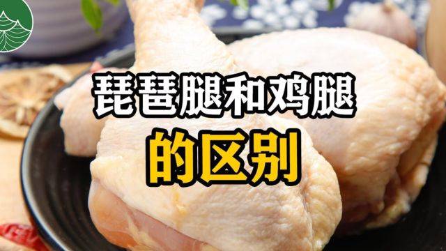 琵琶腿和鸡腿的区别