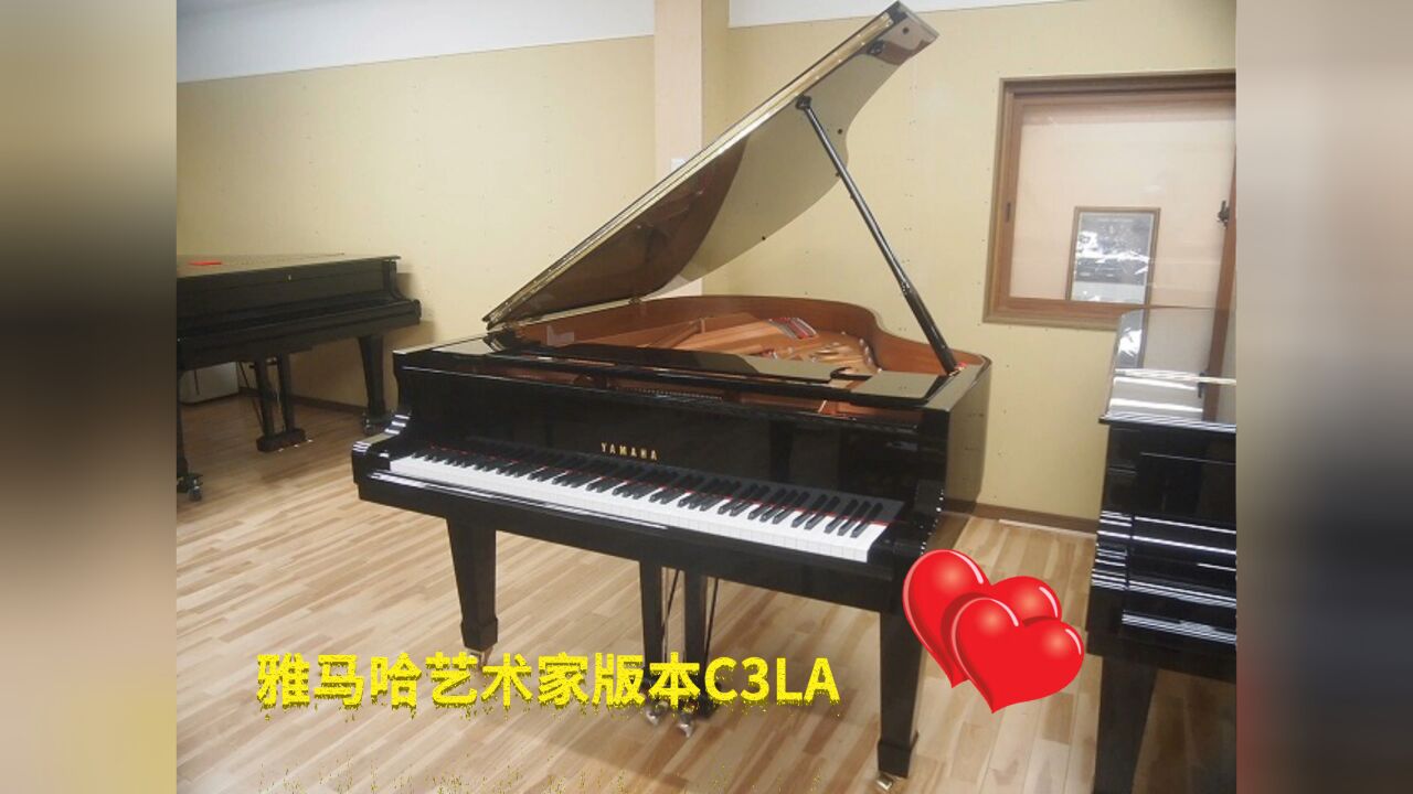 YAMAHA雅马哈艺术家版本三角钢琴C3LASN