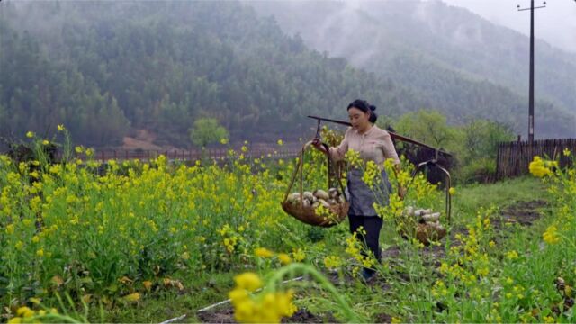 家财万贯,不如萝卜下饭,天下无敌,不如萝卜带皮