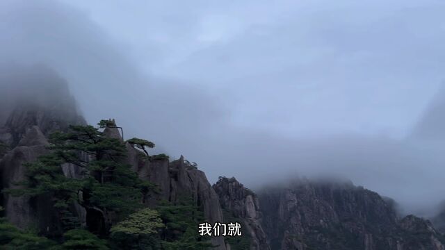 “最好的旅游广告”,由他们“代言”!