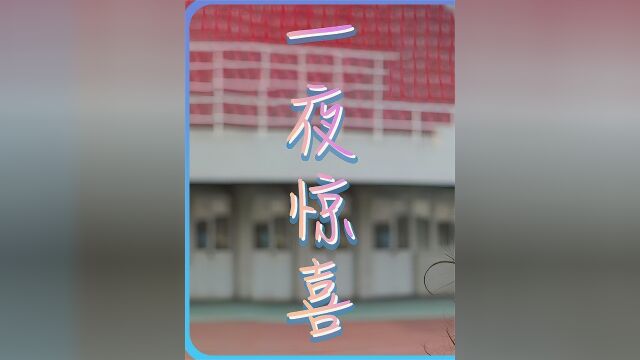 一夜惊喜第1集接盘侠喜当爹