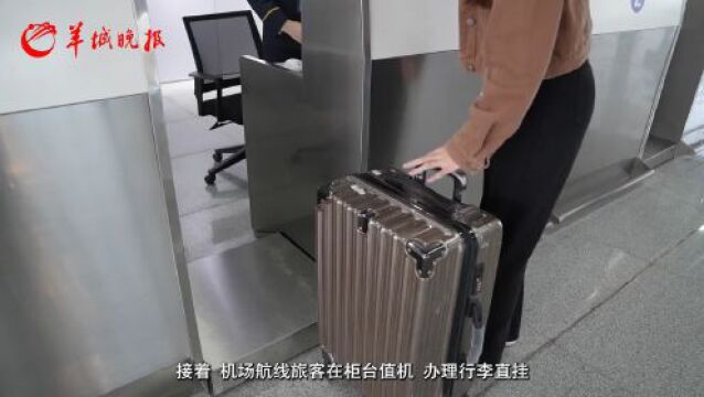 【视频】琶洲港澳客运码头临时对外开放,抢先看通关全流程