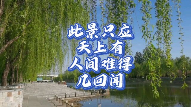 河边美景,漂亮的公园