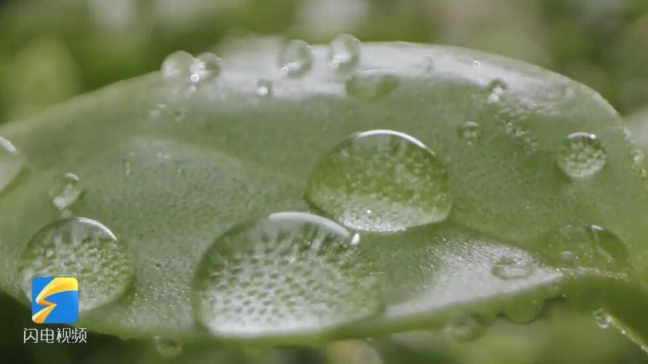 节水公益广告|水的生命不止有一次