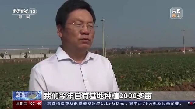 牟平登上央视《朝闻天下》,是因为它……