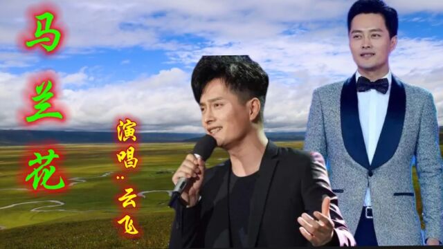 云飞一首草原天籁《马兰花》,细腻深情的演唱,让人如痴如醉!