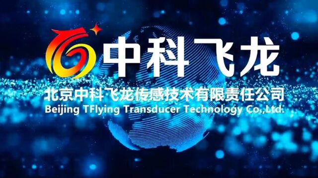 中科飞龙(西安)科技发展有限公司www.longflying.cn 临近雷电预警