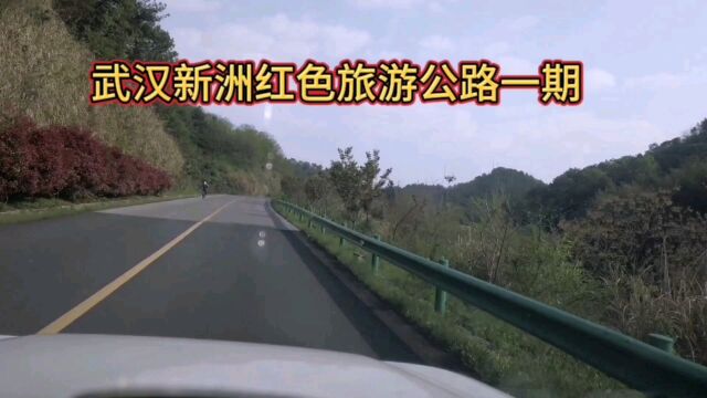 武汉新洲红色旅游公路一期随车自拍,风景非常不错